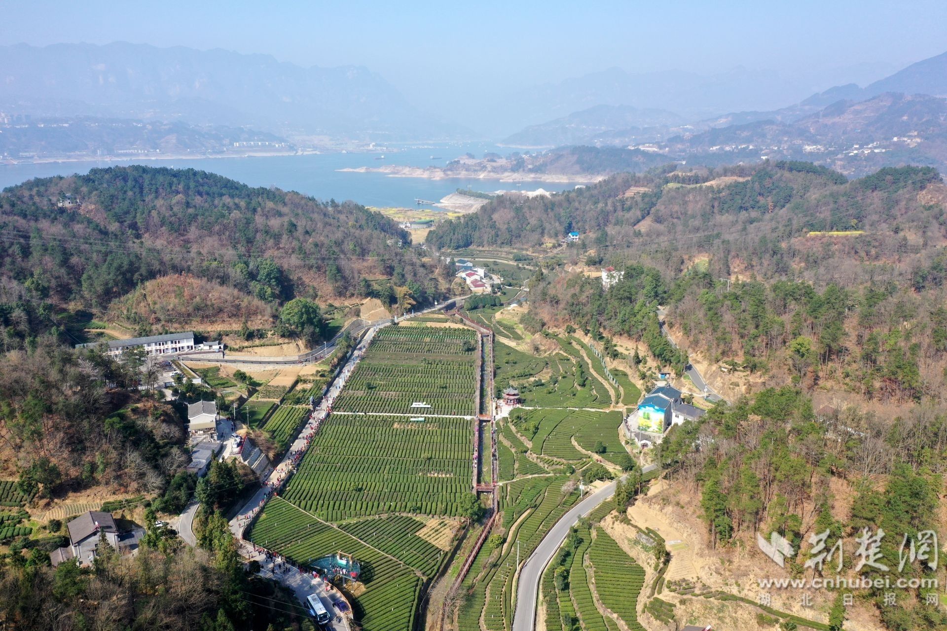 QQ图片20230304175237.jpg.jpg