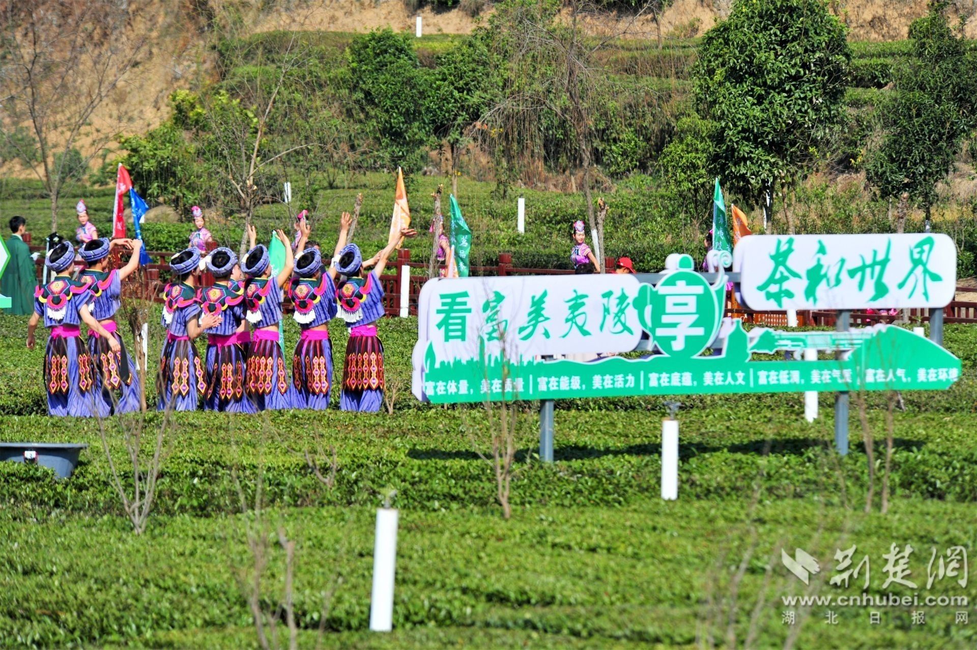 QQ图片20230304154727.jpg.jpg