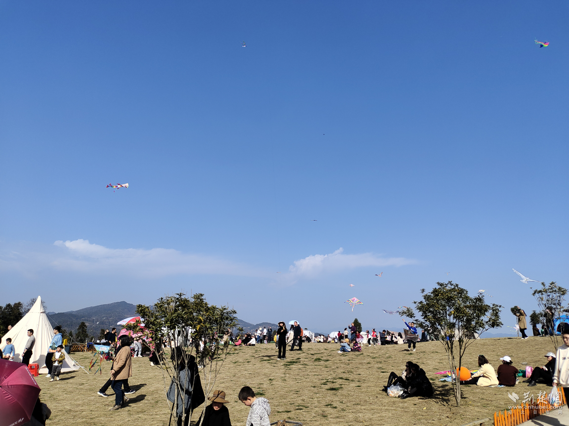咸丰白岩村：露营经济激活开云体育 开云平台乡村振兴“一池春水”