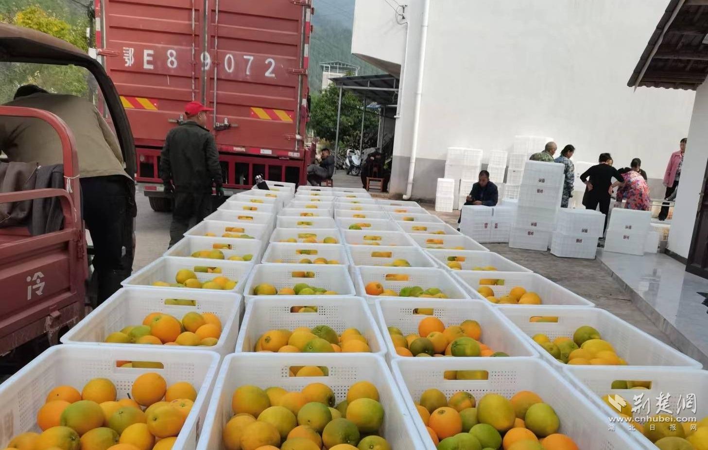 f4e5f9ddebe472cdc42f4620609b8438_1457X926_20230412164850