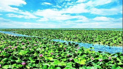 《光明日報》頭版聚焦湖北洪湖：這才是魚米之鄉應有的滋味！