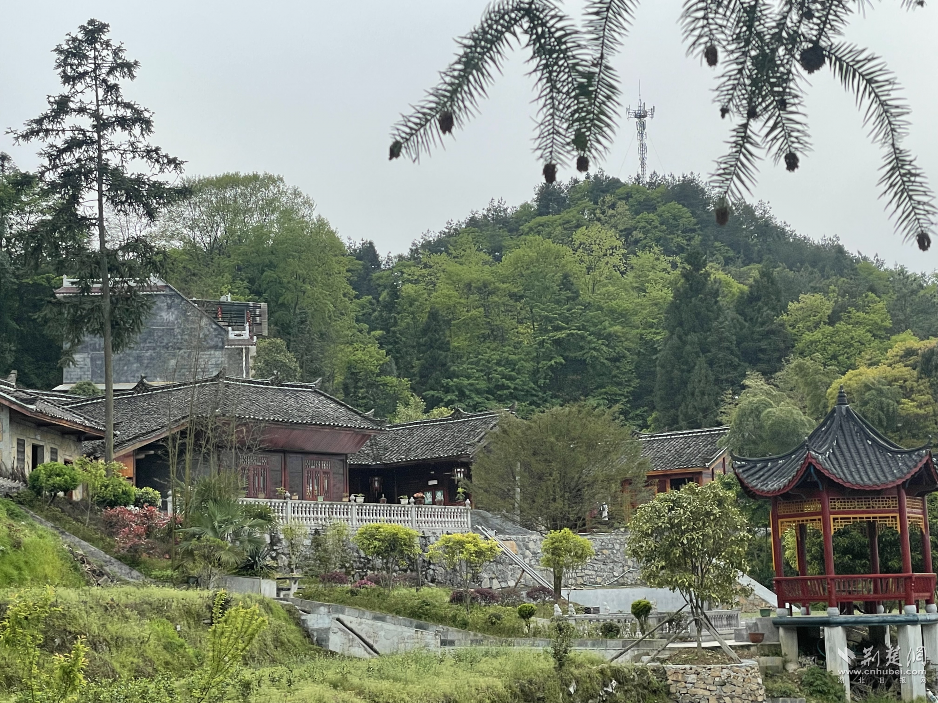 咸丰白岩村：露营经济激活开云体育 开云平台乡村振兴“一池春水”(图2)