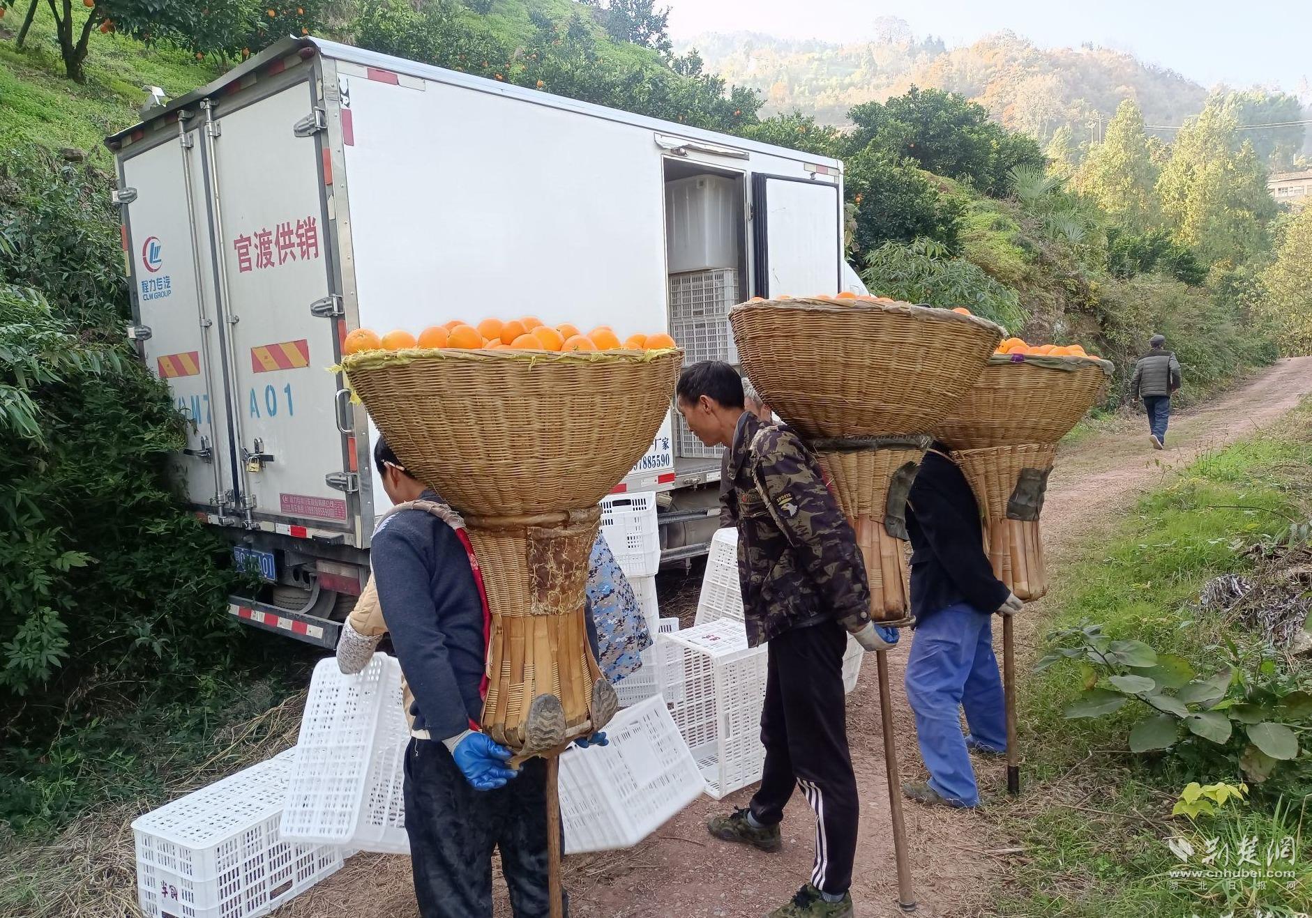 17a63d5af83b6b87f828f819bfa8eff0_1881X1317_20230412165531