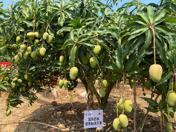 九游会J9 J9九游会春耕春播进行时：确保农资稳定供应 推进化肥减量增效(图2)