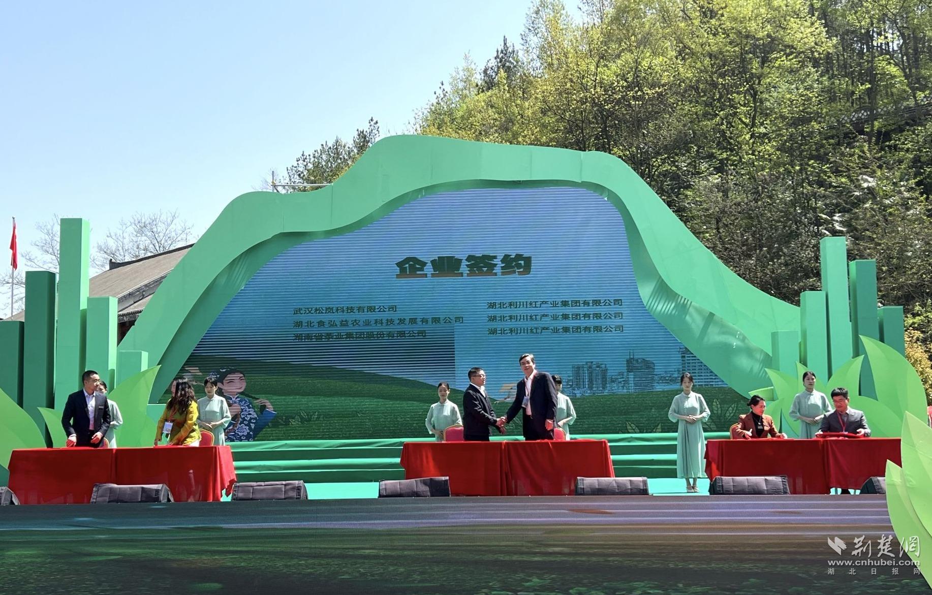 3bc98b256809b2b5d993e6c779bc0acc_1834X1171_20230415171025