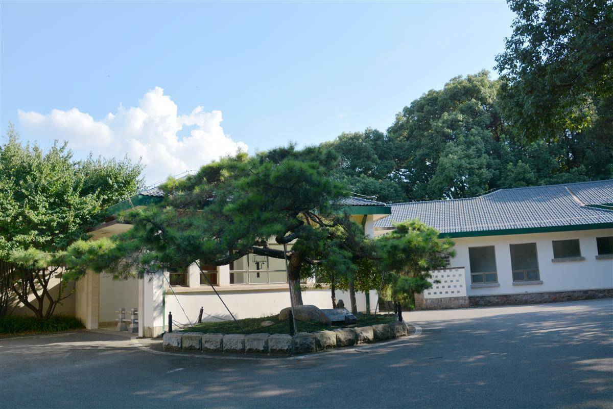 湖北開展新一輪一級保護古樹名木體檢