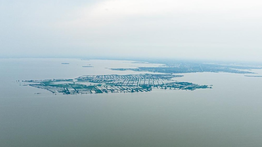 新時代中國調研行·長江篇丨洪湖再現“浪打浪”