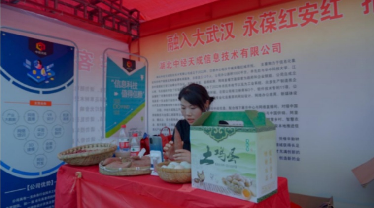 Pg电子游戏：一张“网”织出“数字乡村”之美(图4)
