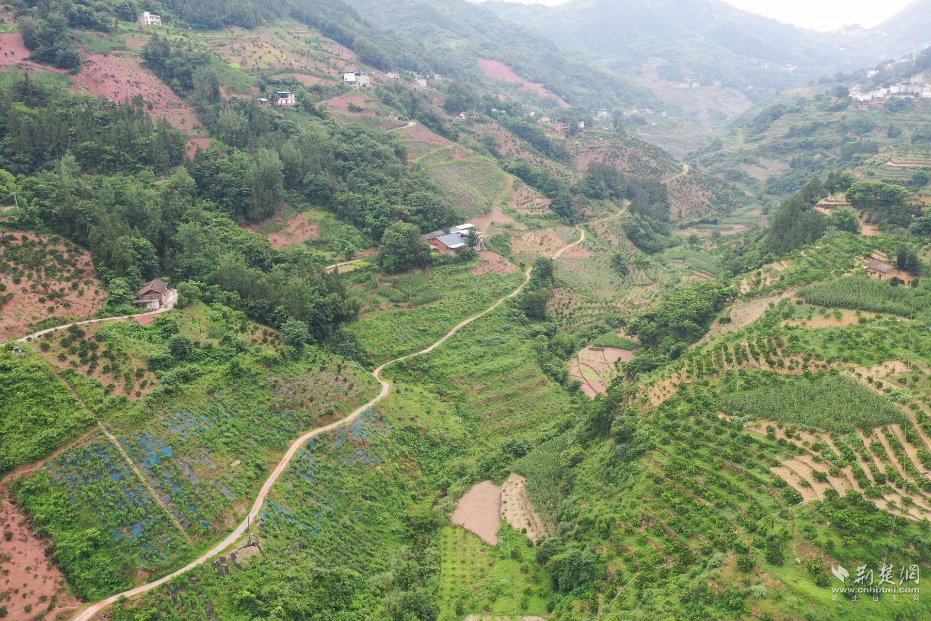 DJI_0481.JPG.JPG