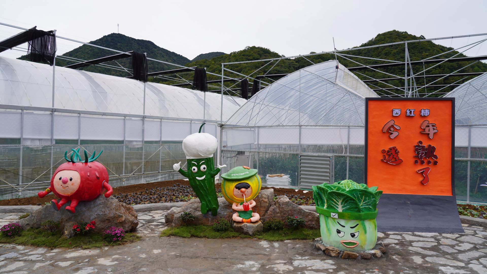 西红柿采摘大棚前，趣味雕像尽显丰收喜悦。唐姝亚 摄.JPG.JPG