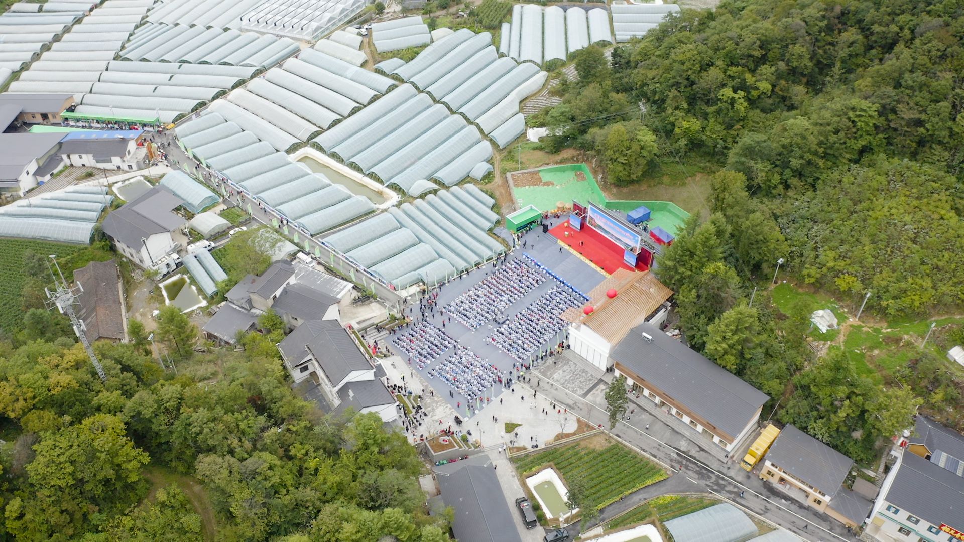 丰收节现场。唐姝亚 摄.jpg.jpg