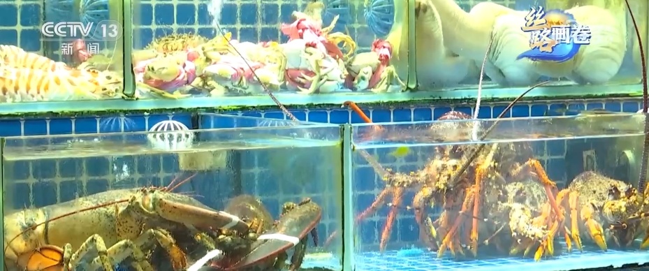 Kaiyun中国：跨越山海“牵手”世界“一带一路”进口生鲜“1小时达”设想照进现实(图23)