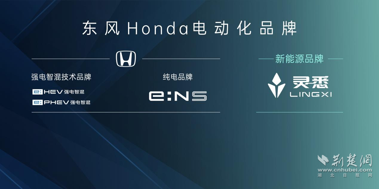 “纯电新物种”猎光而至！ 东风Honda e: NS2广州车展首发亮相