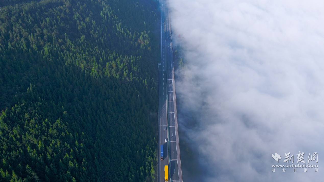 一半是森林一半是云海   (曾垂伦 摄).png.png