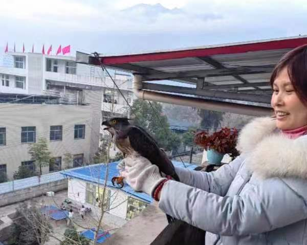 监测员陈美放飞凤头鹰.png.png