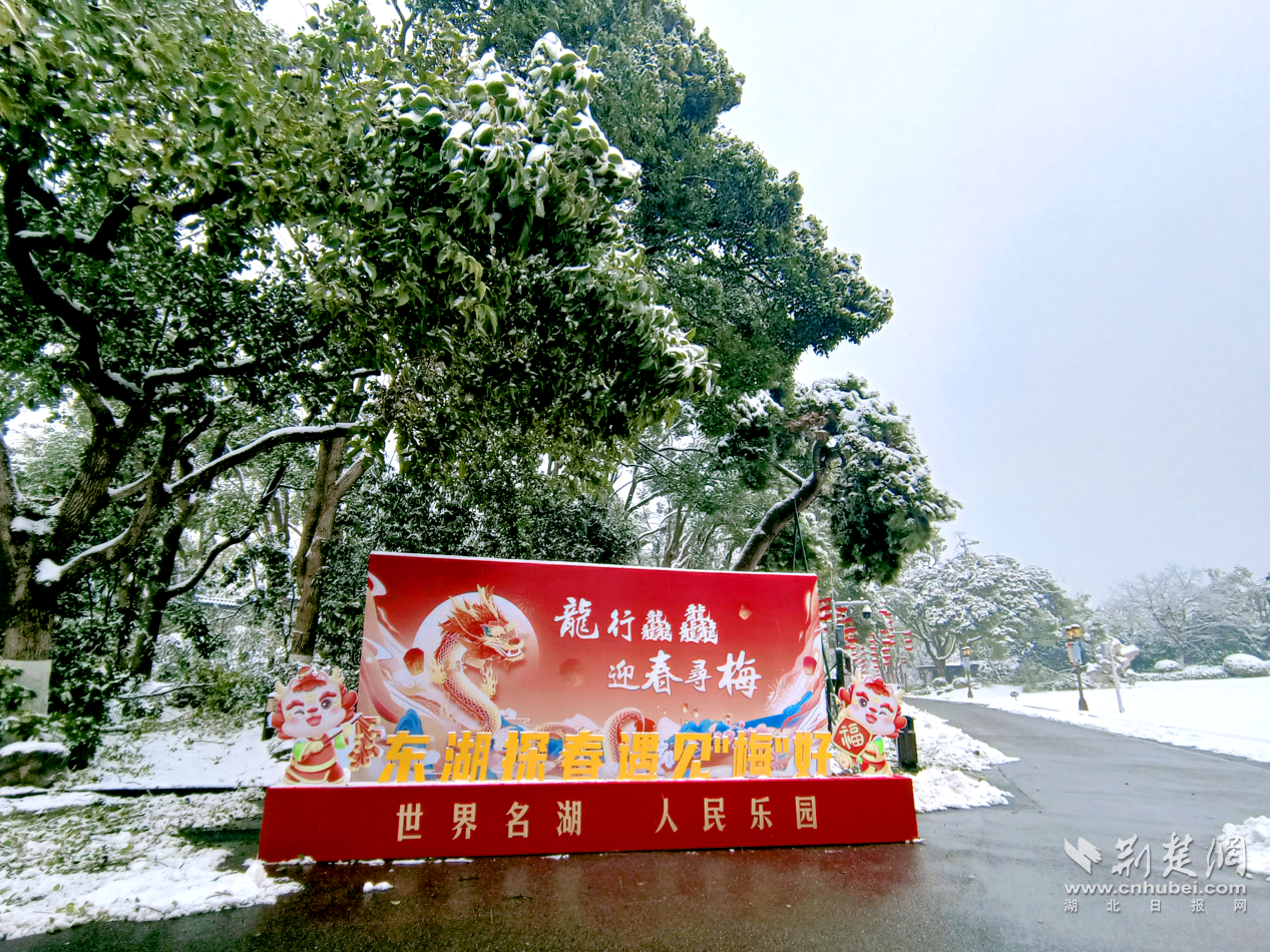 图片9.png.png