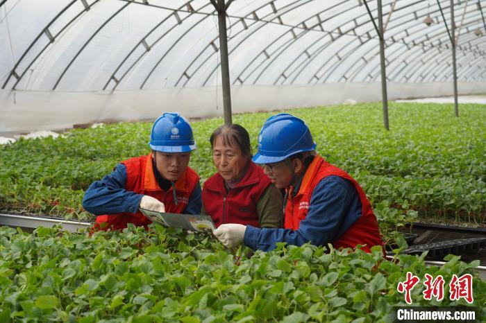 山西吕梁田间地头的“电管家”:“把脉问诊”助春耕
