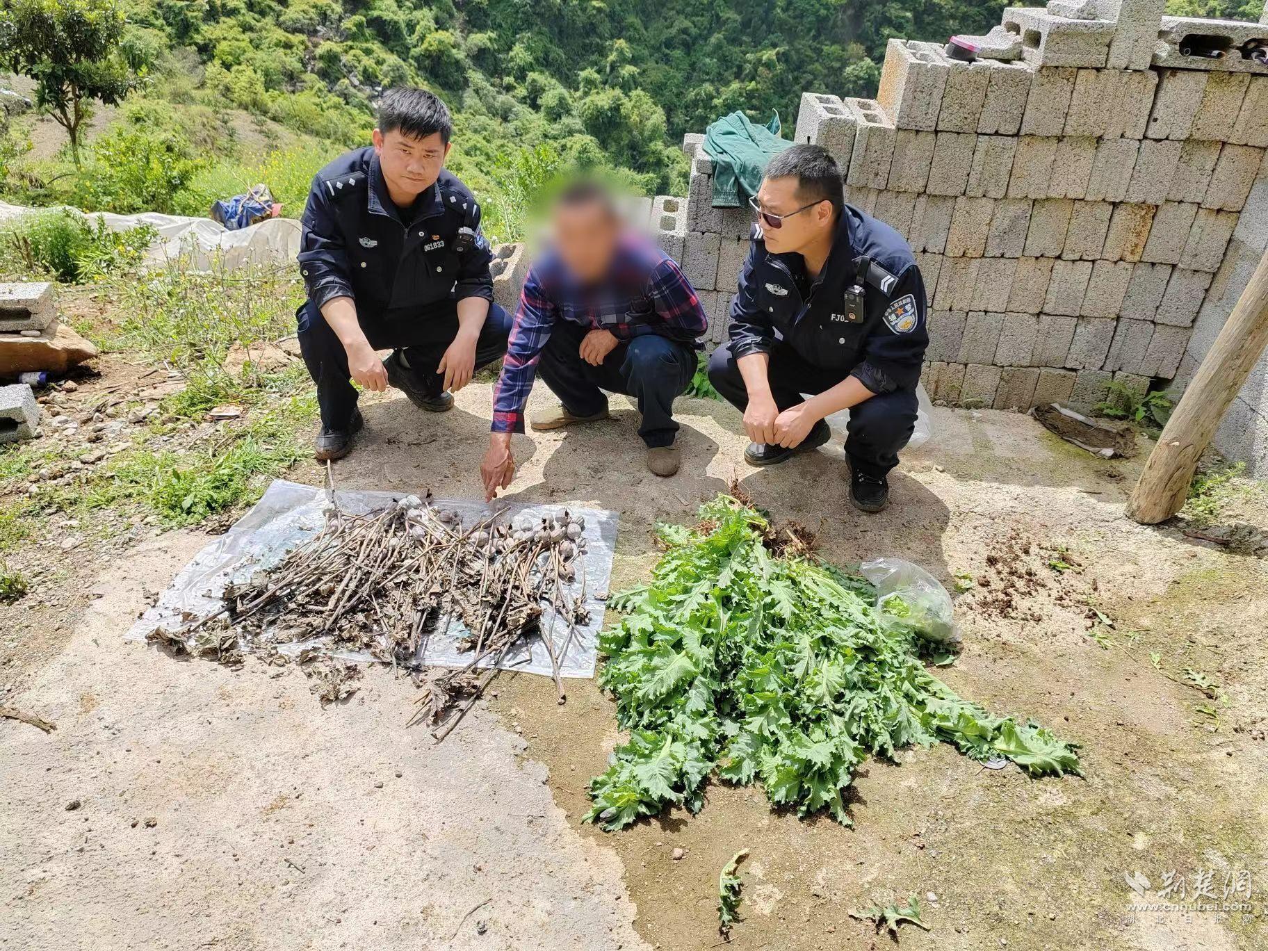 微信图片_20240417201641.jpg.jpg
