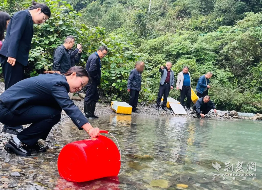 肖某增殖放流现场.png.png