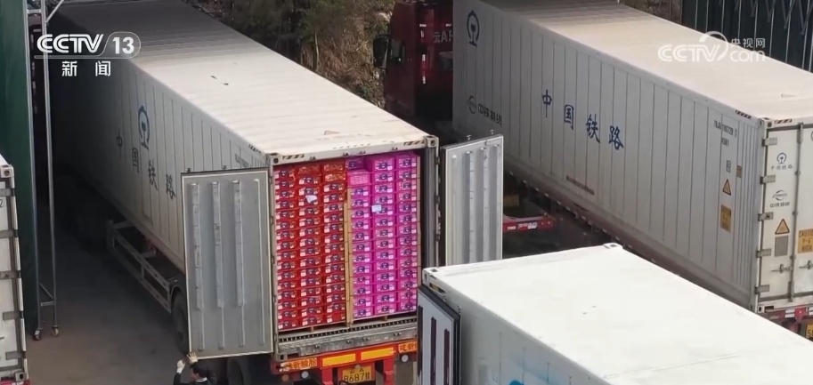 多组数据见证中国进出口“开门红”中国经济展现澎湃动能(图2)