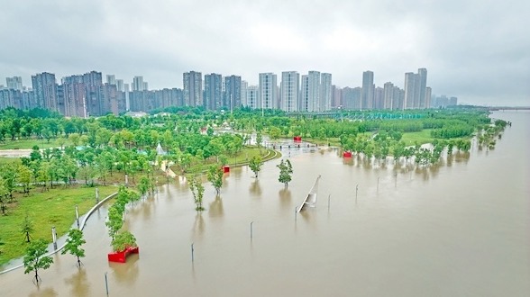 省内长江干流多站水位超设防