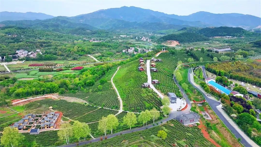 孝昌建好“四好农村路”让生态优势变发展优势(图3)