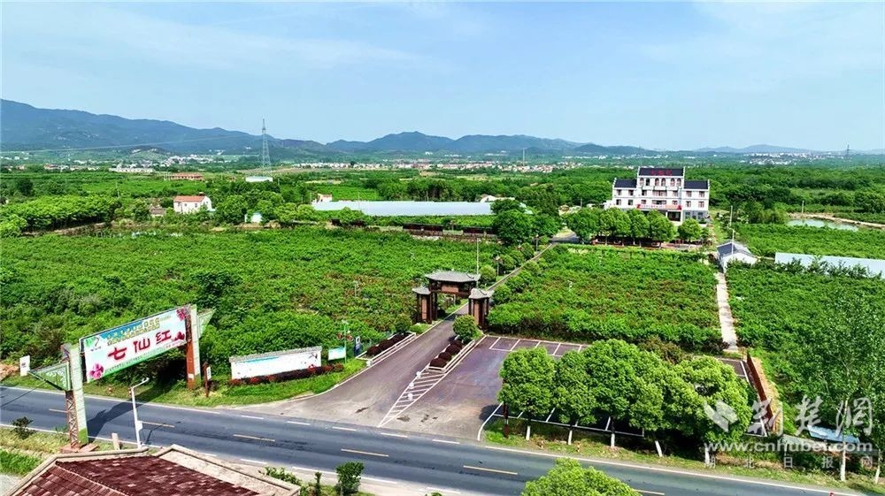 孝昌建好“四好农村路”让生态优势变发展优势(图2)