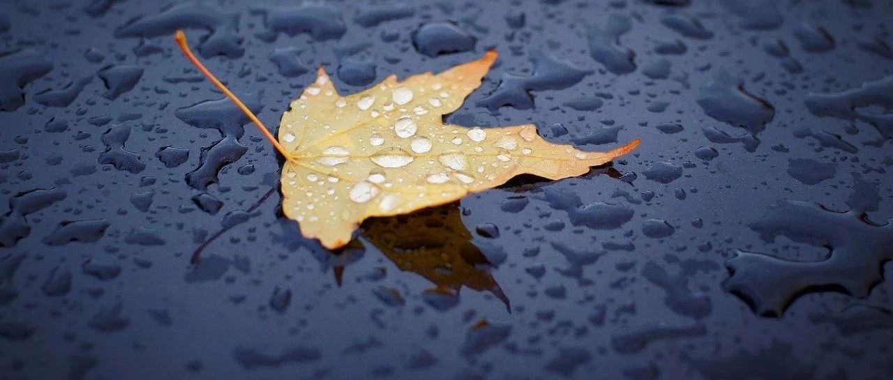 僅4℃！大風降溫降雨要來了