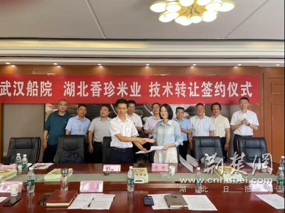 當蘄春珍米遇上科技創新 武漢船院設計賦能鄉村振興