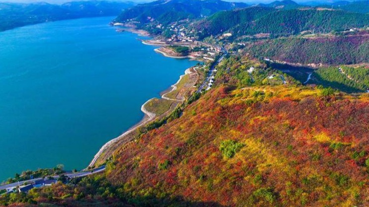 南水北调水源区红叶映山村