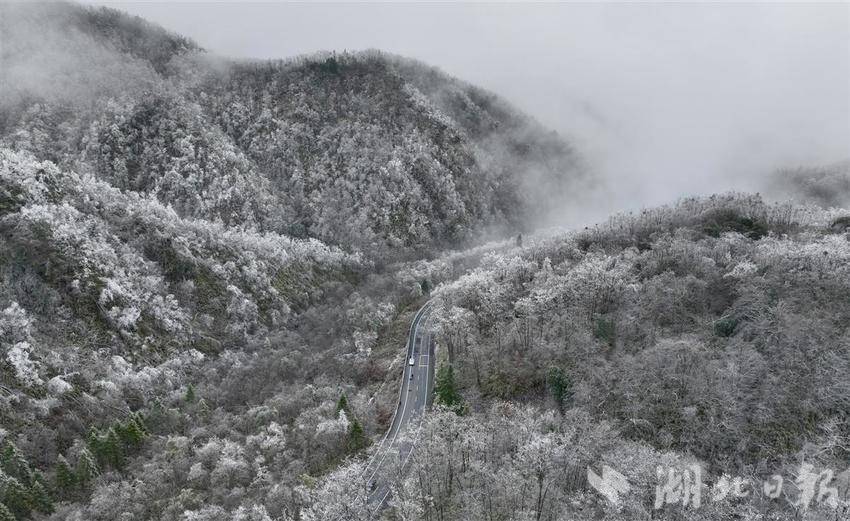 氣溫降至冰點(diǎn)！神農(nóng)架霧凇美景上新