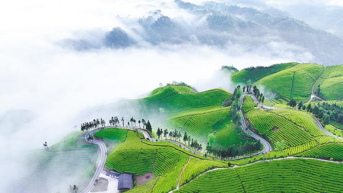 鹤峰走马镇给绿水青山“明码标价”