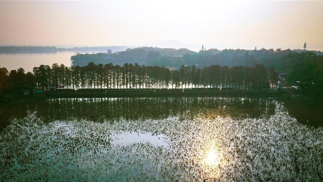 东湖晨景：薄雾轻纱，美不胜收