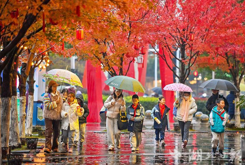 武汉降雨又降温