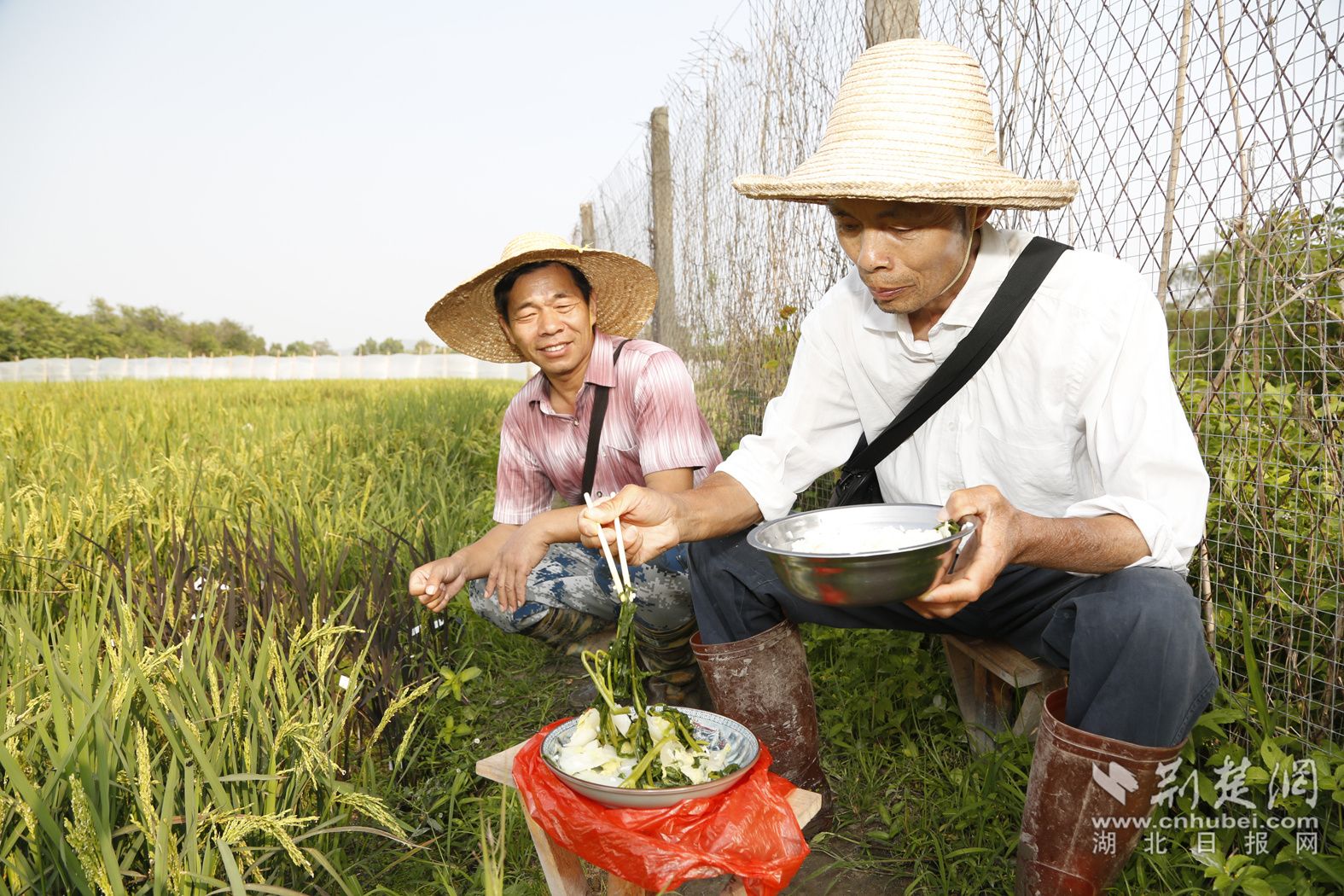 在海南工作時(shí)在田地里吃飯.jpg.jpg