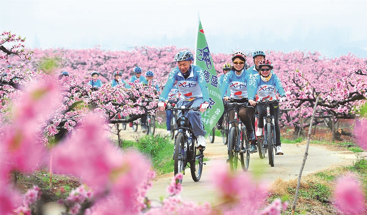 “中國桃之鄉”湖北棗陽30余萬畝桃花含苞待放