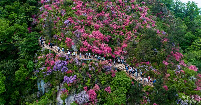 萬紫千紅游客歡（天馬寨景區(qū)）  章衛(wèi)軍_副本.jpg