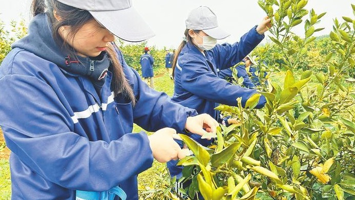 春耕田野上的大學講堂