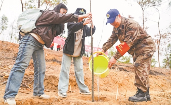 共植雙擁林