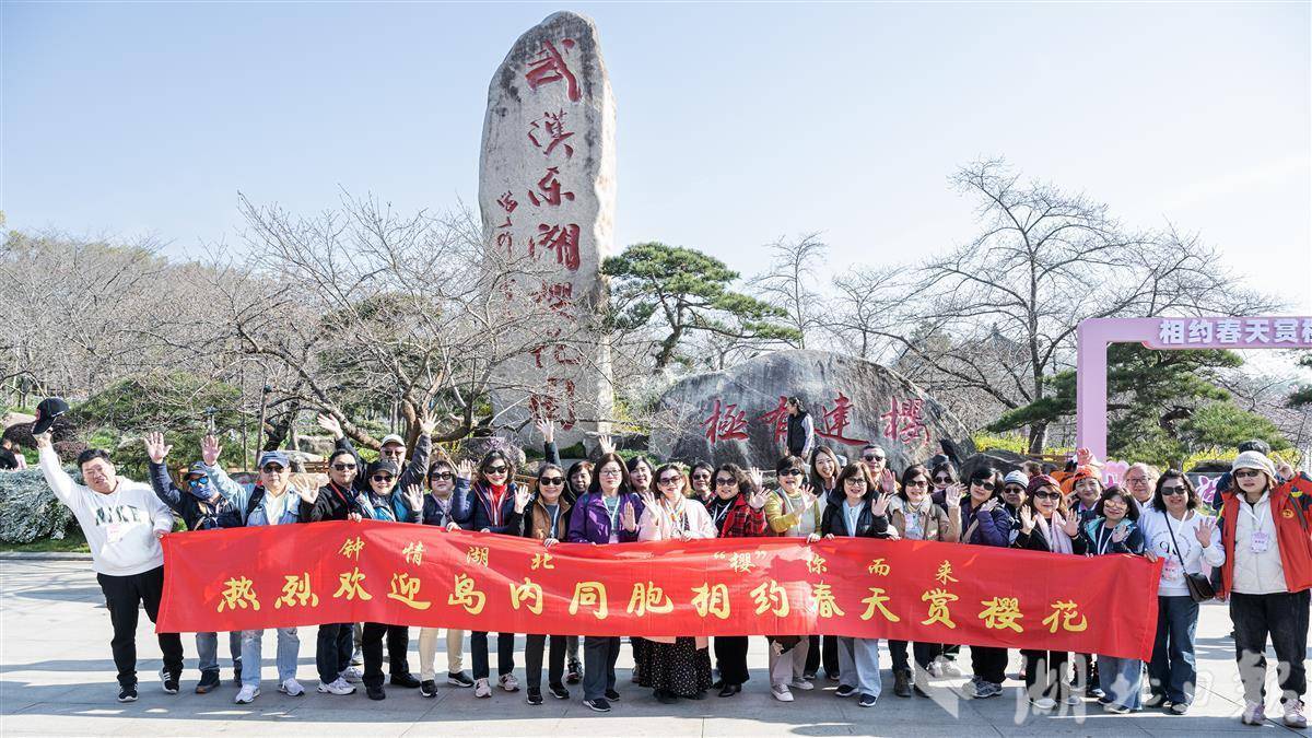 台湾旅游从业者武汉东湖赏樱