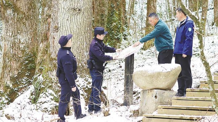 湖北森林警長掛牌保護(hù)古樹名木