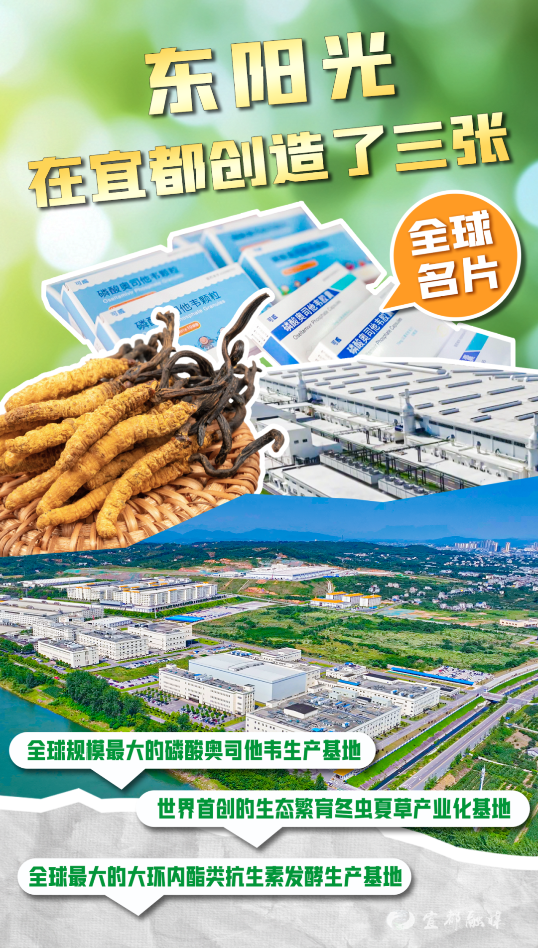 24年投资240亿元！宜都东阳光“三驾马车”齐头并进的创新密码