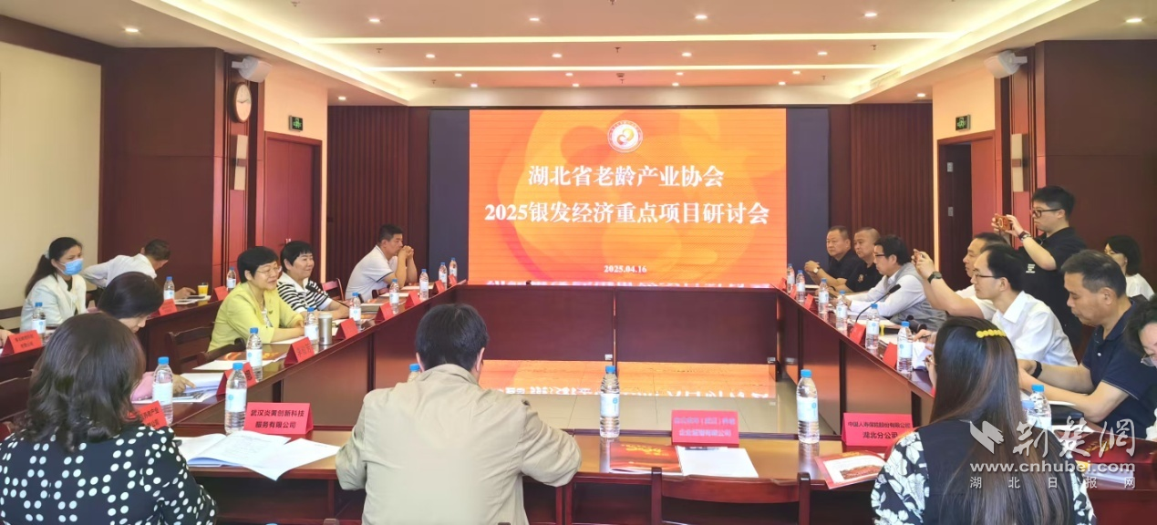 湖北省老龄产业协会在汉举办2025银发经济重点项目研讨会