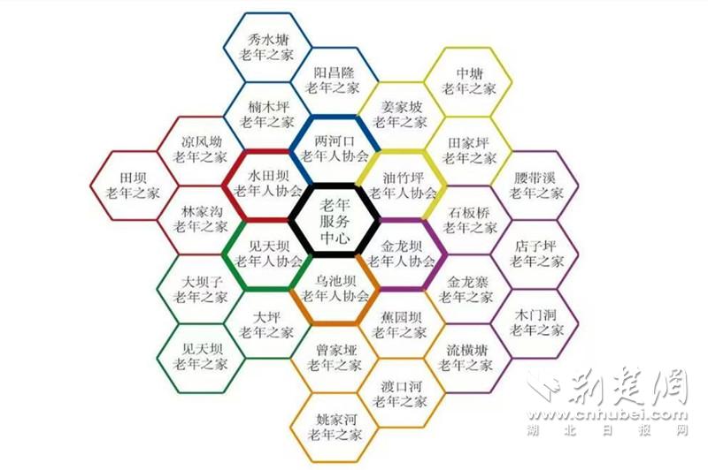 老年服务中心—老年协会—老年之家”的蜂巢状三级互助养老网络（图源：武汉大学中国乡村治理研究中心）.jpg