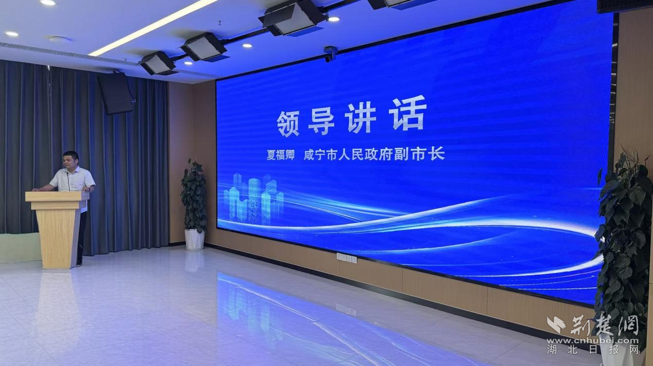 图片5.png.png