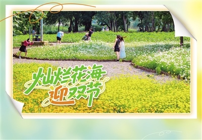 燦爛花海 迎雙節(jié)