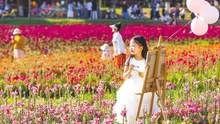 马鞍山森林公园铺上五彩花毯