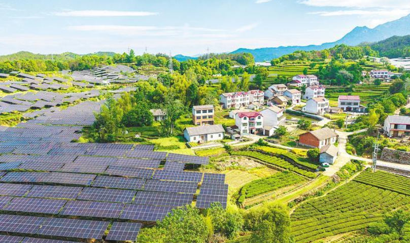 茶光互补助力乡村振兴