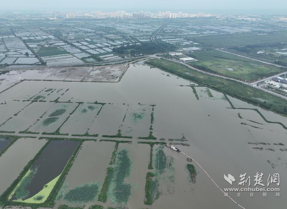 QQ截图20250516122124.jpg
