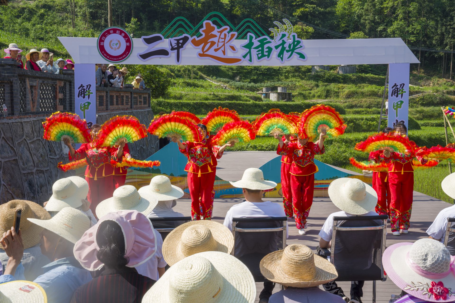 小满时节稻田“竞技” 农旅融合擘画振兴新景